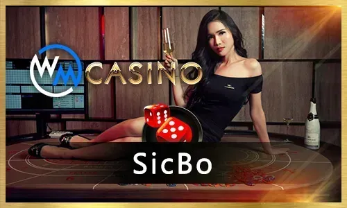 Seven Card Stud Poker